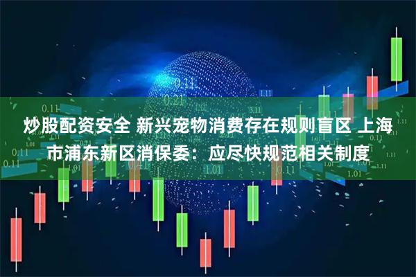 炒股配资安全 新兴宠物消费存在规则盲区 上海市浦东新区消保委：应尽快规范相关制度